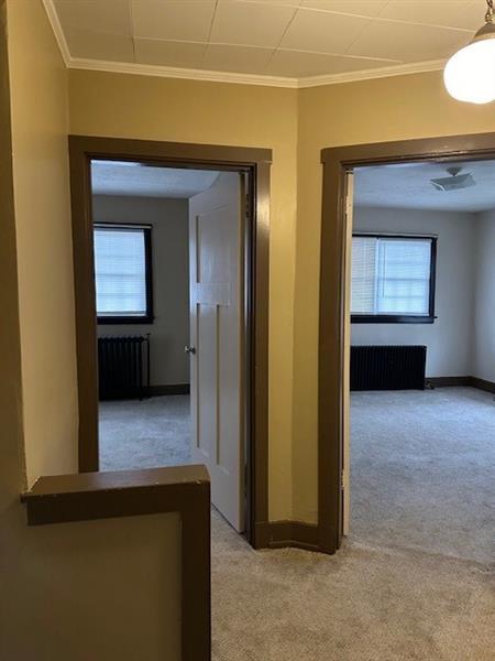 100 Reed Ave Photo 36