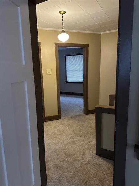 100 Reed Ave Photo 39