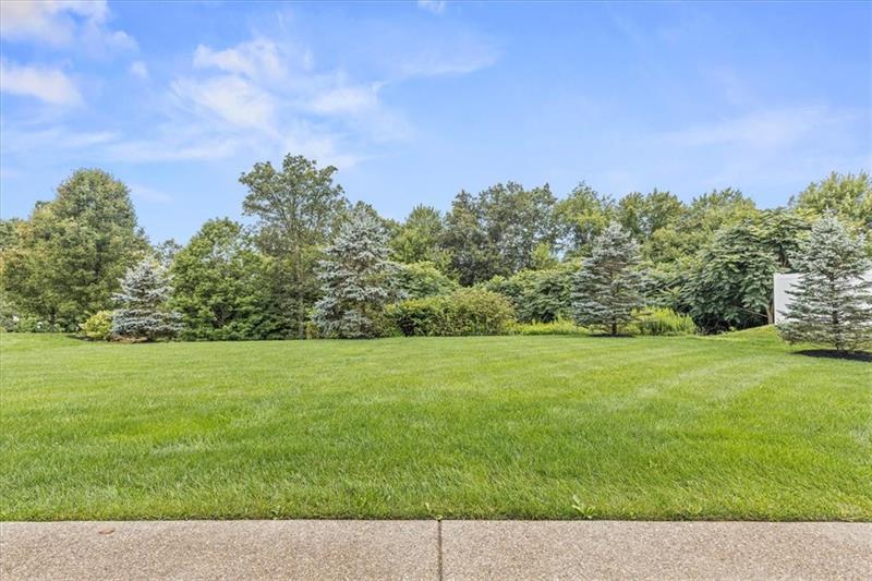 133 Chestnut Ridge Dr Photo 40