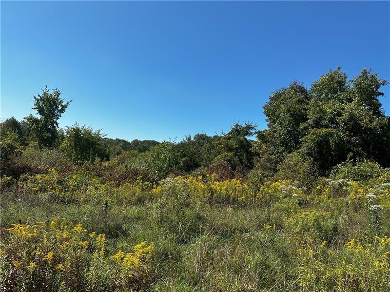 112 Bair Blvd. Photo 1