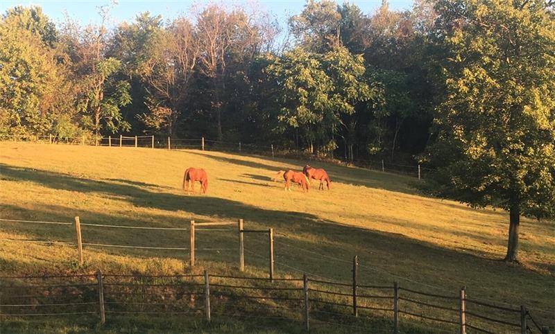 316 Noll Road Photo 48