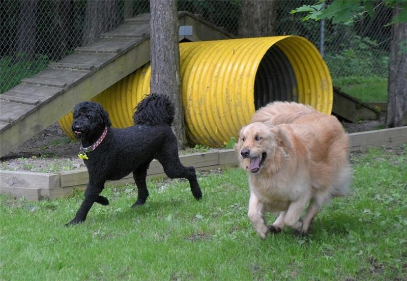 316 Noll Road Photo 49