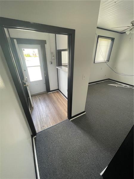 10 Rhoda St Photo 6