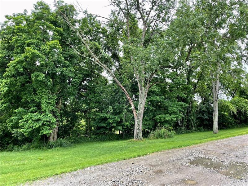 1027 Locust Ave Photo 5