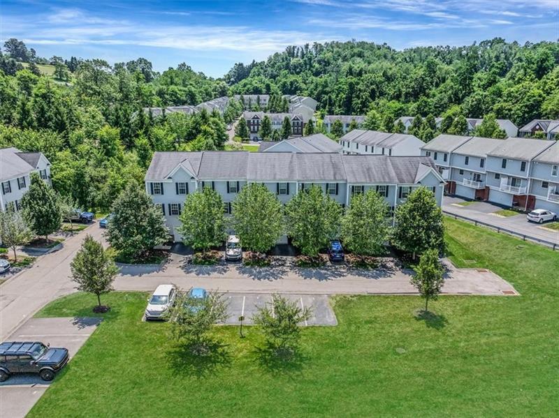 0 Sassafras Photo 26