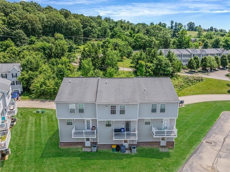 0 Sassafras Photo 27