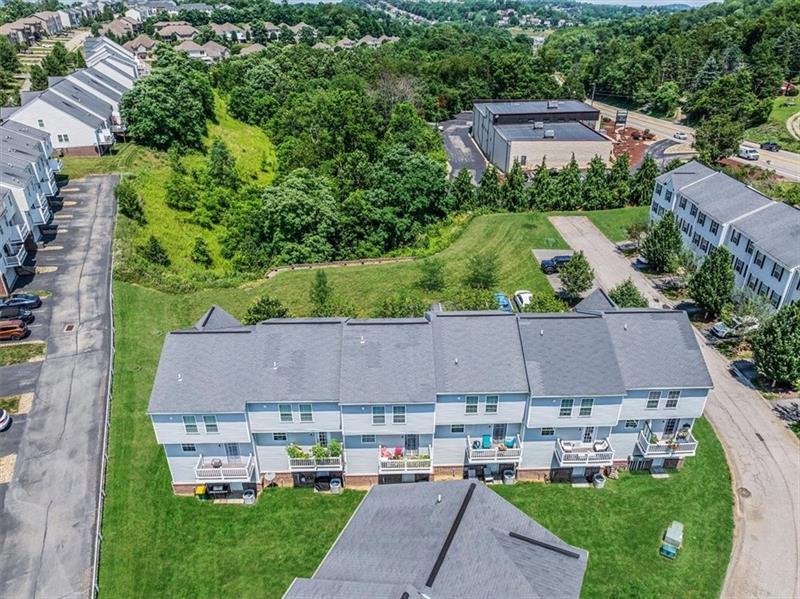 0 Sassafras Photo 28