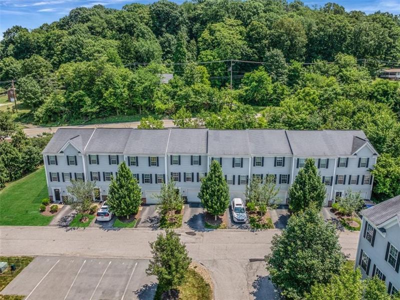 0 Sassafras Photo 29