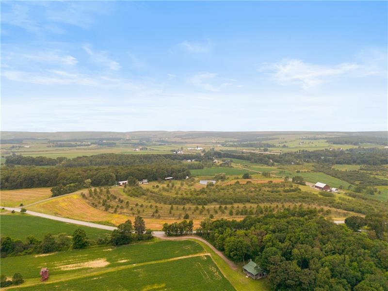 162 Black Bear Run Photo 47