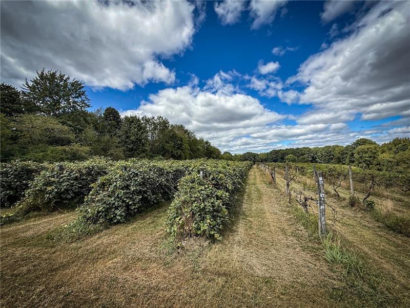 115 Dreher Farm Ln Photo 11