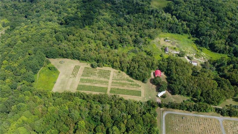 115 Dreher Farm Ln Photo 23