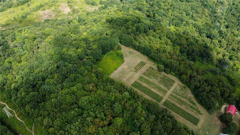 115 Dreher Farm Ln Photo 24