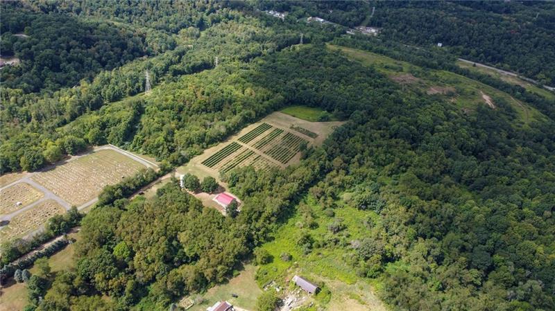 115 Dreher Farm Ln Photo 25