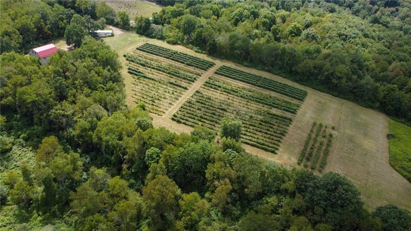 115 Dreher Farm Ln Photo 26