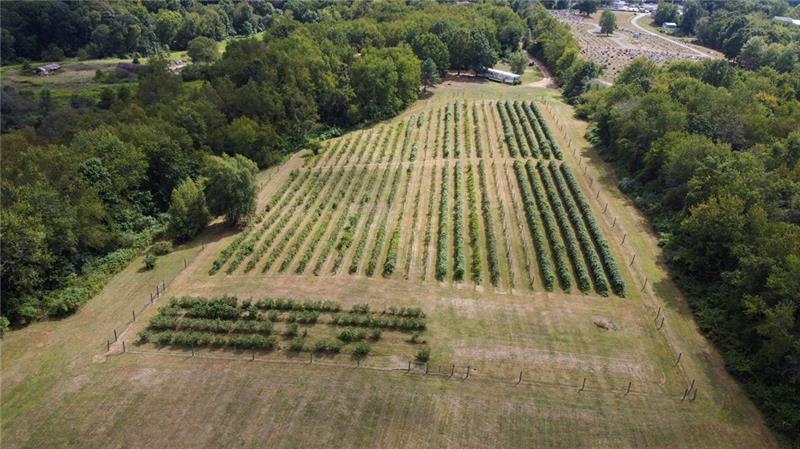 115 Dreher Farm Ln Photo 27