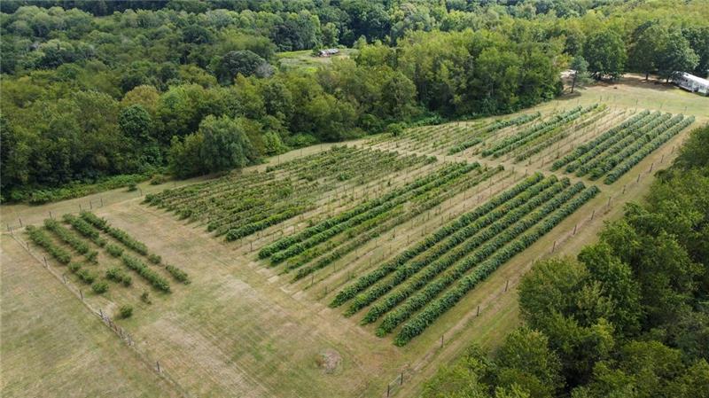 115 Dreher Farm Ln Photo 28