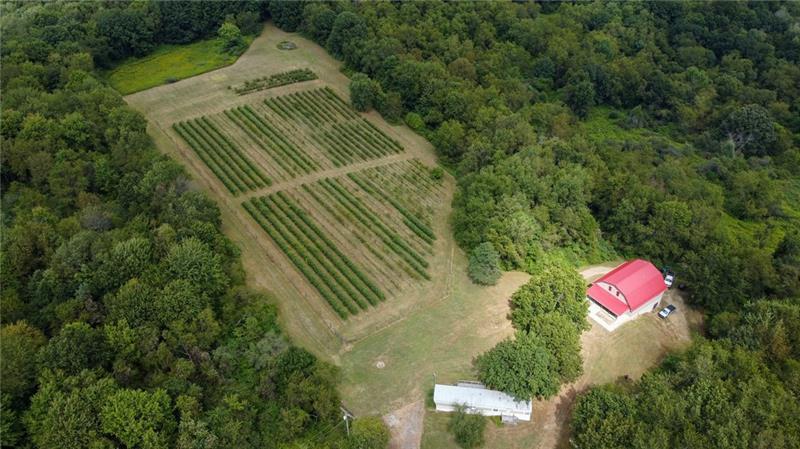 115 Dreher Farm Ln Photo 29