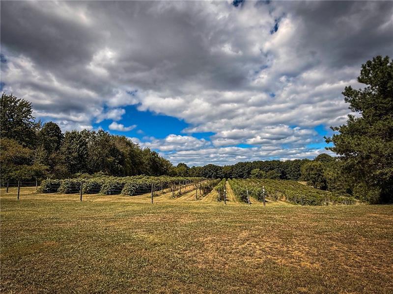 115 Dreher Farm Ln Photo 3