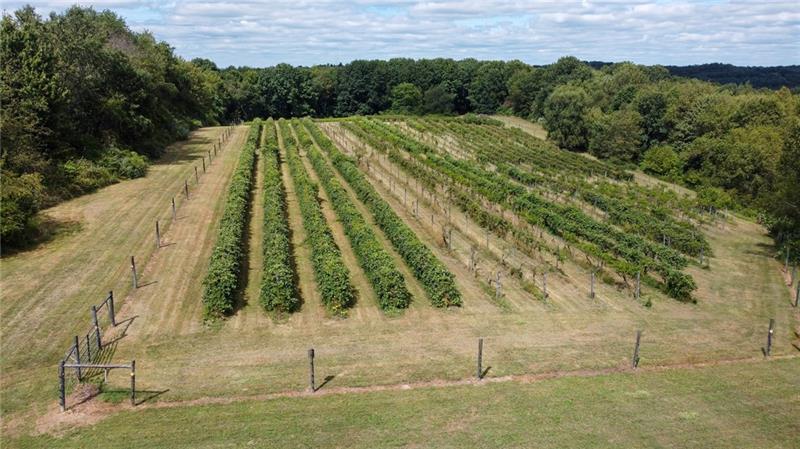 115 Dreher Farm Ln Photo 30