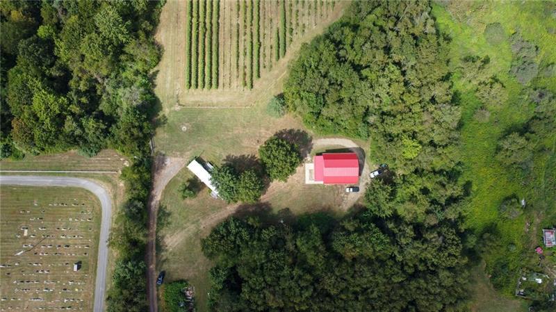 115 Dreher Farm Ln Photo 31