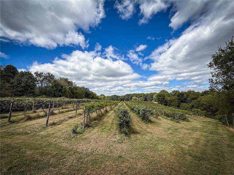 115 Dreher Farm Ln Photo 4