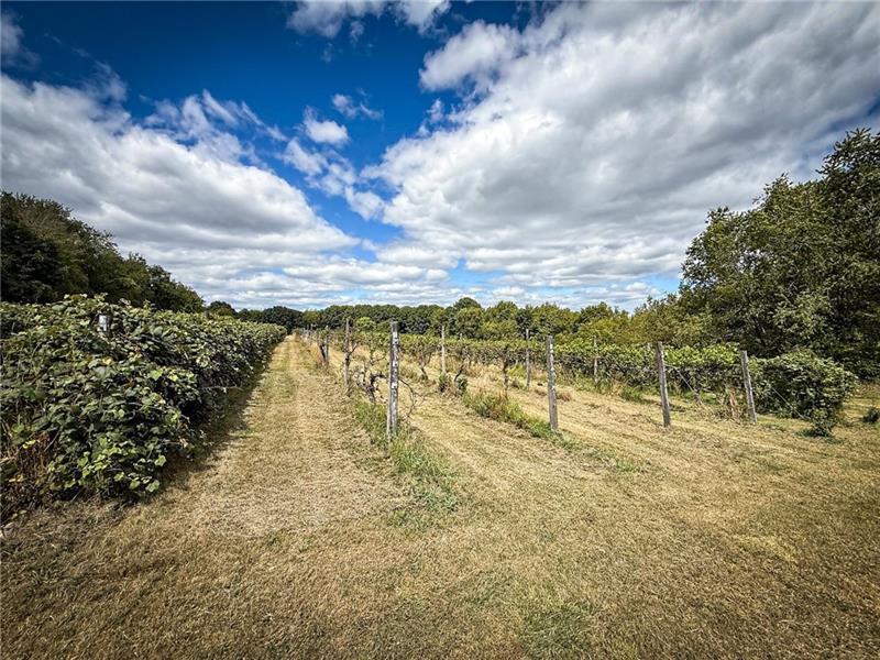 115 Dreher Farm Ln Photo 5