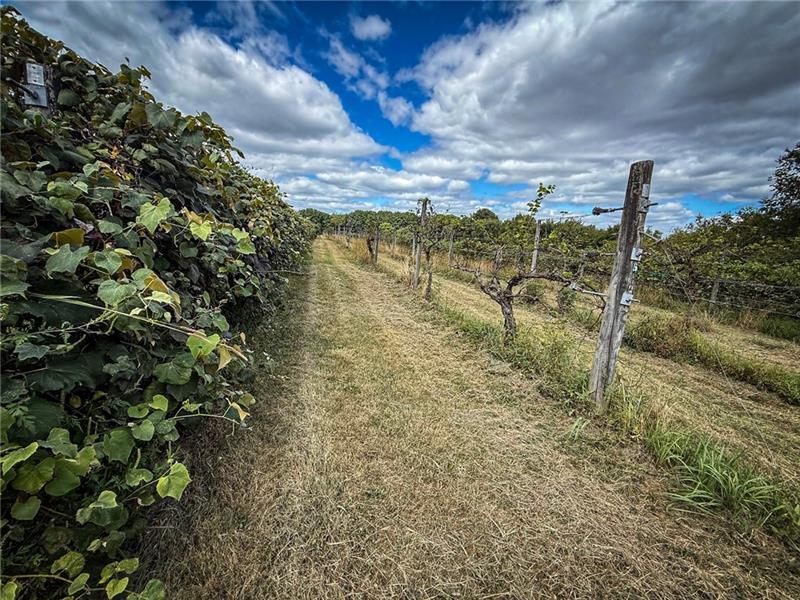 115 Dreher Farm Ln Photo 7