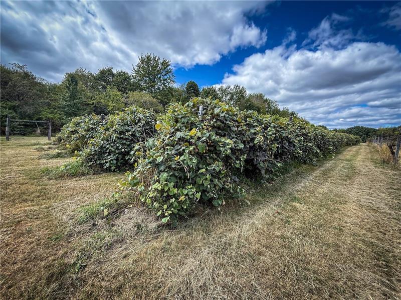 115 Dreher Farm Ln Photo 8