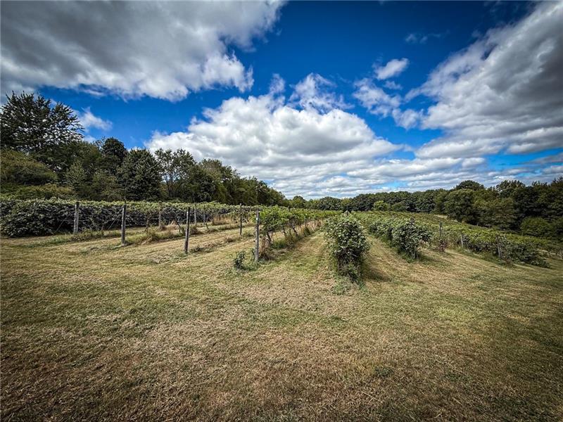 115 Dreher Farm Ln Photo 9