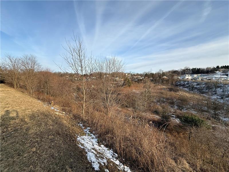 R3 Zoned Manor Road Southern Tract Parcel A-2 Photo 6