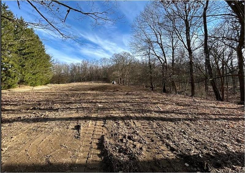 3376 Saxonburg Boulevard  Photo 4