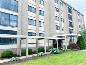 53 Academy Avenue, 504